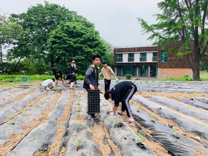 957e47362d1b65e6eed5d706e877459b_1559051