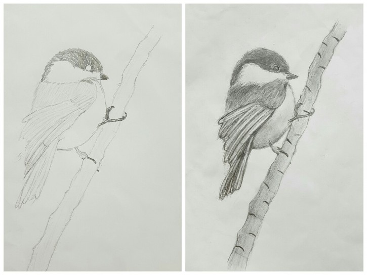 d911ac5660c3980dfa48ccb0601cd160_1558615