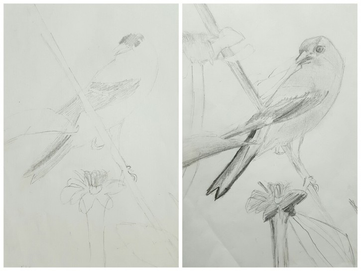 d911ac5660c3980dfa48ccb0601cd160_1558615