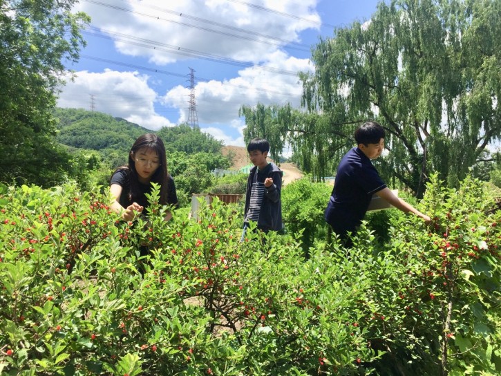 000e687b5744b078f4f49a67a9a9989f_1561382