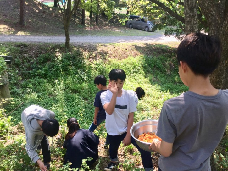 1e33508b948cd1b61ae4c517b441daa8_1562074