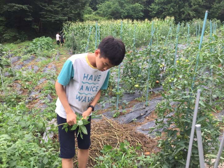 c6c5c0d7e40876e363fa4503525cd6b6_1569852